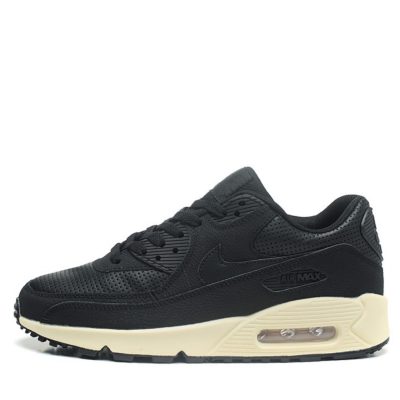 AIR MAX 90 "Pinnacle Black Sail"