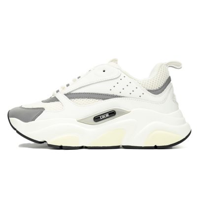 DIOR B22 «Grey White»