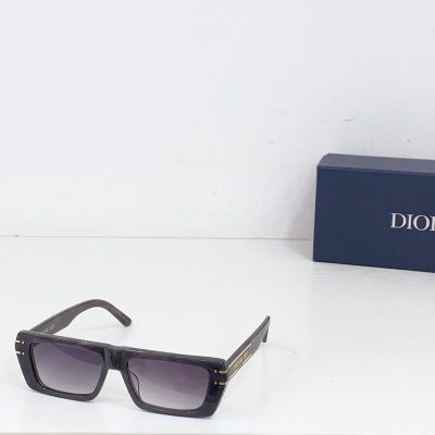 SINGLASSES DIOR DSGTS2UXR size 56口16-145