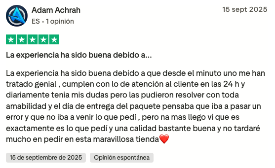 Review 13