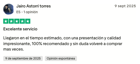 Review 10