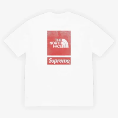 Camiseta The North Face S/S Top